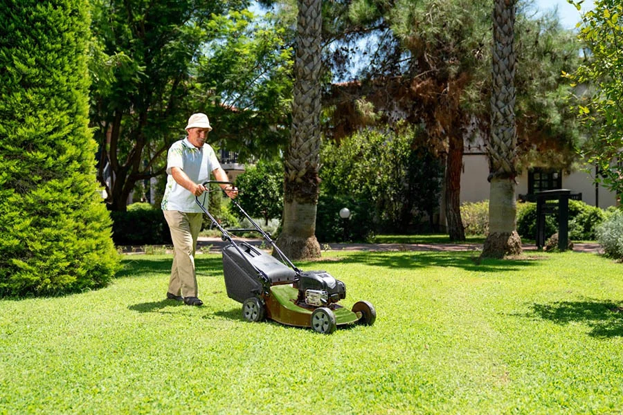 what is the best electric lawn mower