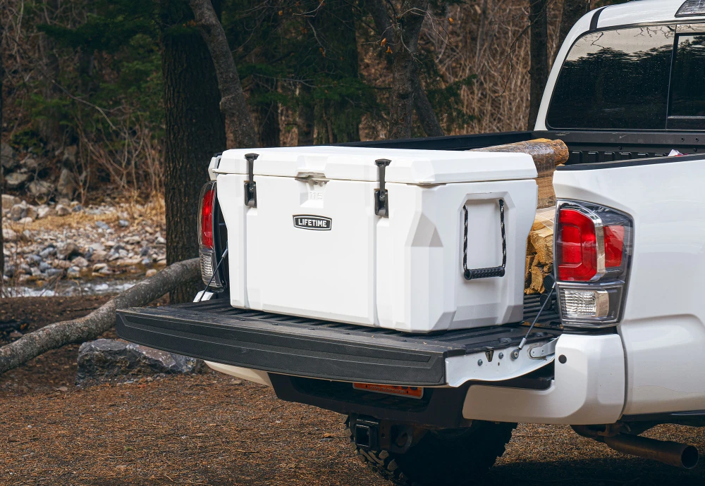 outdoor food cooler