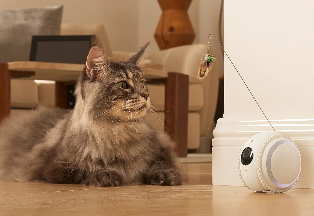 movable pet camera