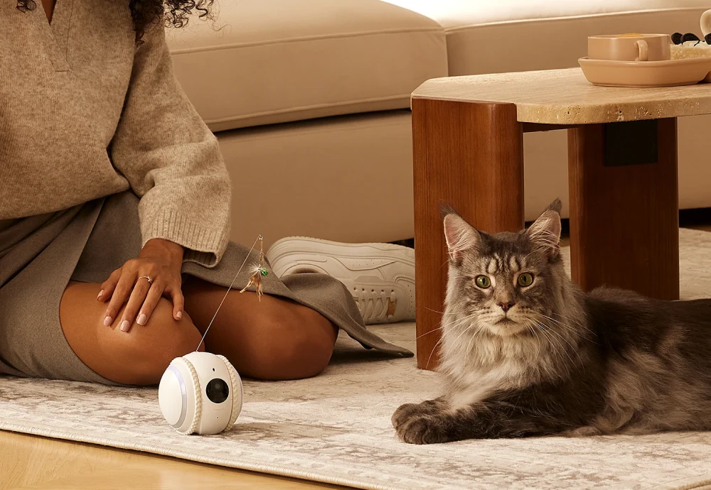 best home camera system for pets