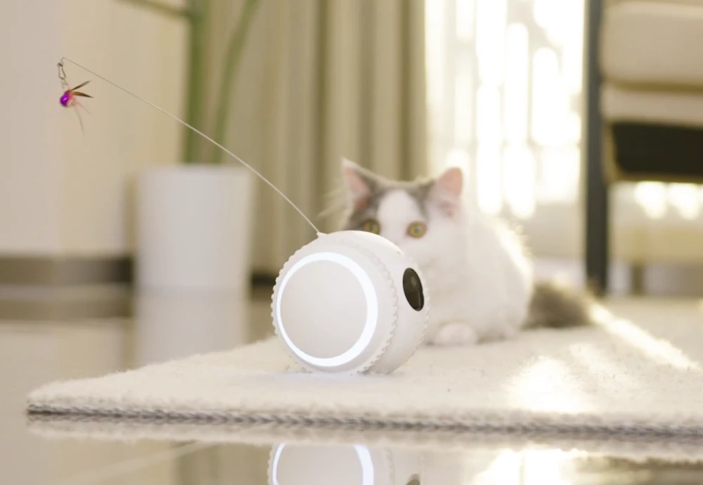 best home camera system for pets