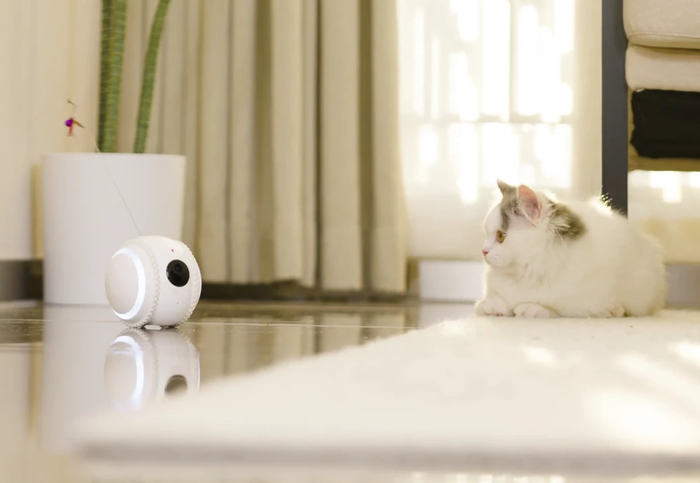 movable pet camera