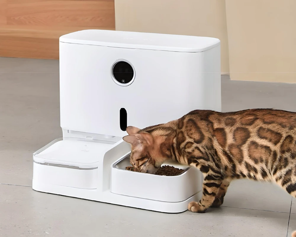 robot automatic pet feeder