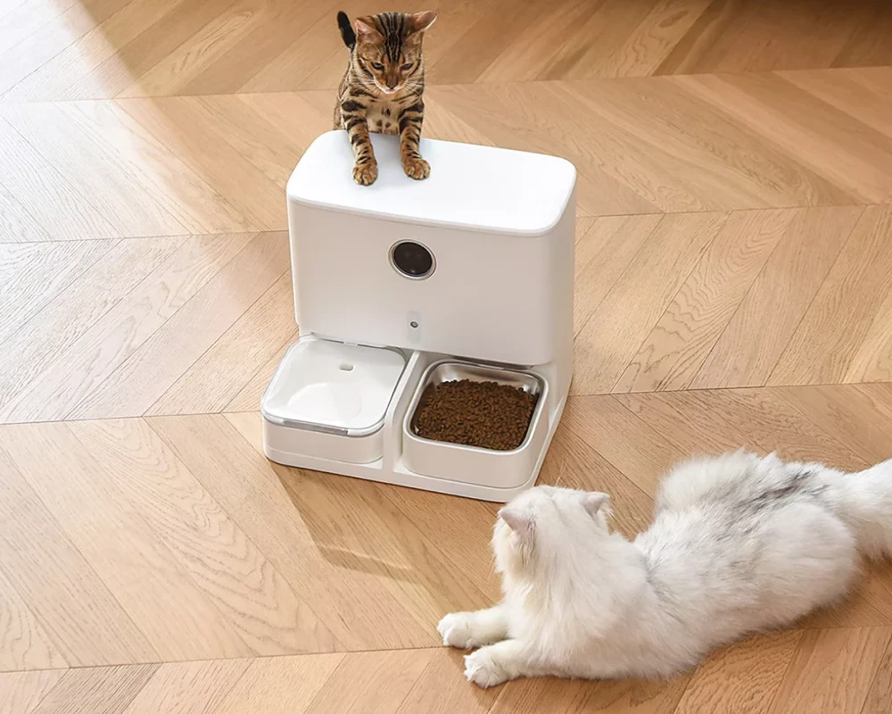 robot automatic pet feeder