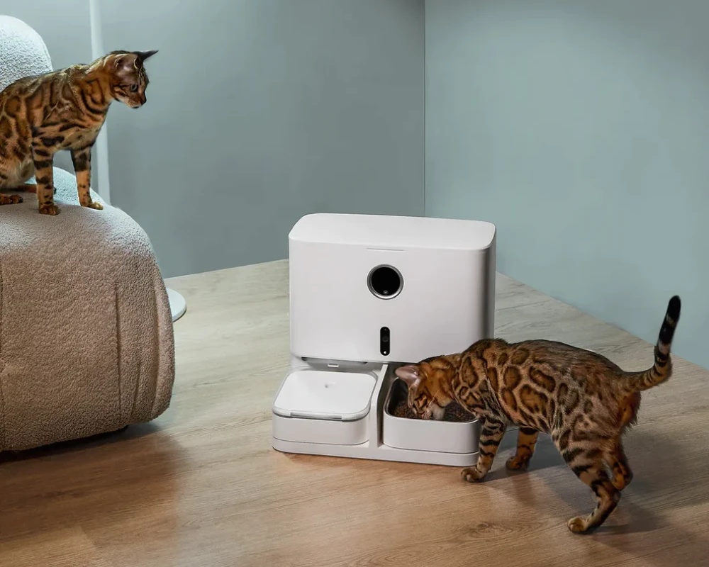 pets automatic pet feeder